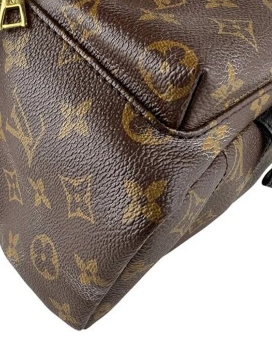 Auth LOUIS VUITTON Monogram Palm Springs PM Backpack Brown M44871 - z9619 main image 6